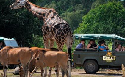 Safari i Ree Park med biler, dyr og mennesker